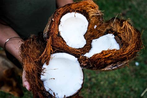 Cocona: A Fabric Enhancer Derived From Coconuts - MetaEfficient