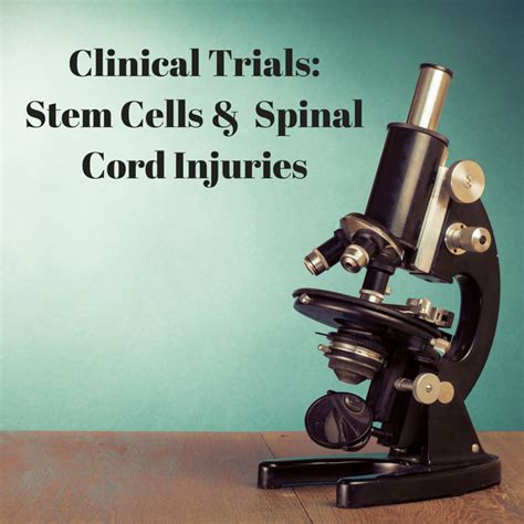 Ontario Leads In Stem Cell Clinical Trials For Spinal Cord Injuries