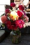 | Dahlia Arrangements Bouquets