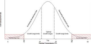 Climate change impact on Spodoptera frugiperda (Lepidoptera: Noctuidae ...