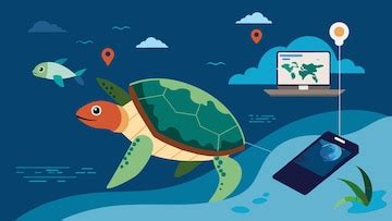 Premium Vector | The use of gis mapping techniques to track the movements of sea turtles and ...