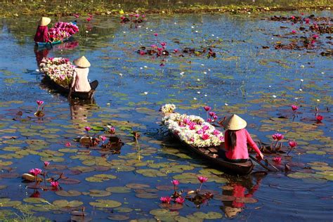 Three Women Riding Boats with Lotus Flowers · Free Stock Photo