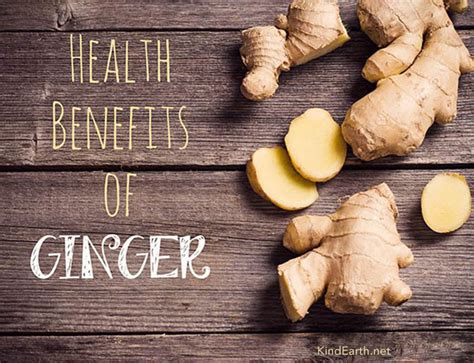 10 reasons why ginger is good for you - Kind Earth