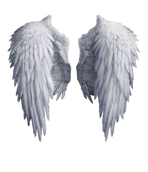 Angel Wings, Wings PNG Images Transparent Free Download - Free Transparent PNG Logos