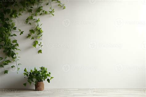 Decoration of English Ivy Indoor Hanging Plant with Aesthetic White Wall Background 26705264 ...