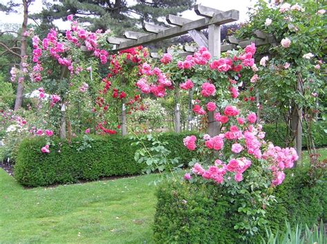 Belgium | Gardens of the world, Garden inspiration, Beautiful flowers