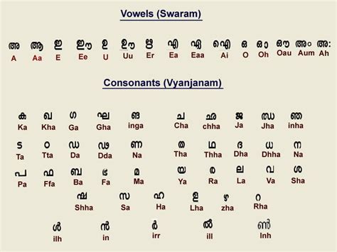 Malayalam Alphabets Writing Practice Worksheets Pdf – Kidsworksheetfun