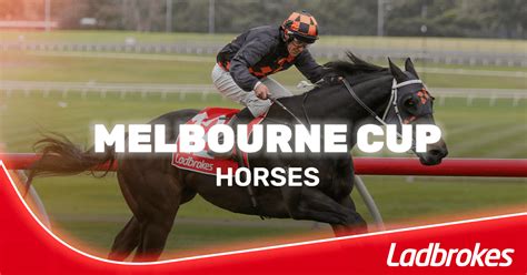 Melbourne Cup Horses 2024 | Field & Odds | Ladbrokes