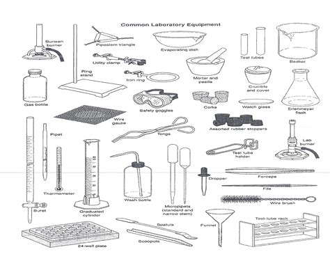 Science Lab Equipment Worksheet