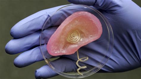 Bionic Ear Made From 3D Printing