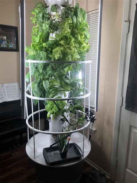 Indoor Hydroponic Garden Tower - Okejely Garden Plant