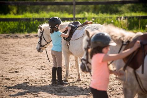 Horse Riding Summer Day Camps | ADK Stables Kingston Napanee Stone Mills