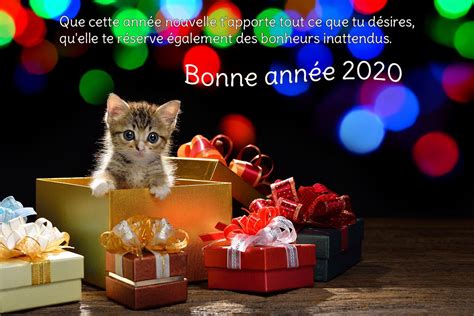 Texte de voeux | Gift box, Gifts, Cat portraits