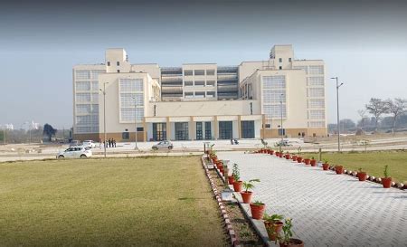 Central University of Punjab Admission 2024 | Courses, Eligibility & Dates