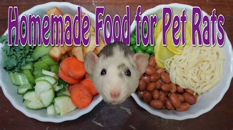 Pet Rat Diet - Requested - YouTube