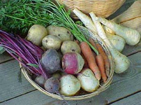 Garden.org How to store root crops | Food garden, Growing food, Growing vegetables