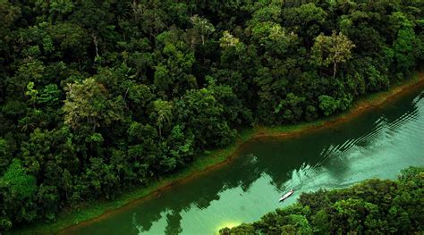 Live discute importância direta da Floresta Amazônica na vida das pessoas - Amazônia importa ...