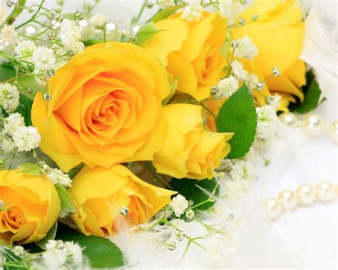 Yellow Roses Wallpapers - Wallpaper Cave