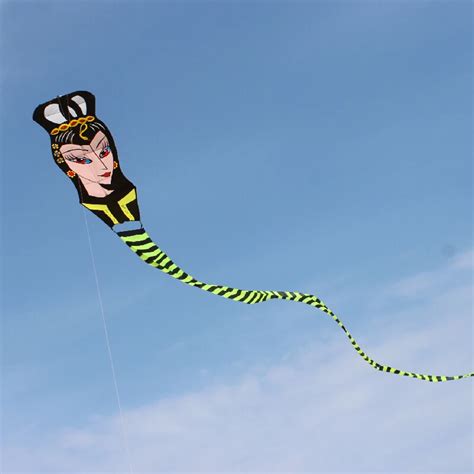 free shipping high quality 27m large snake kite fabric kite bar line ...