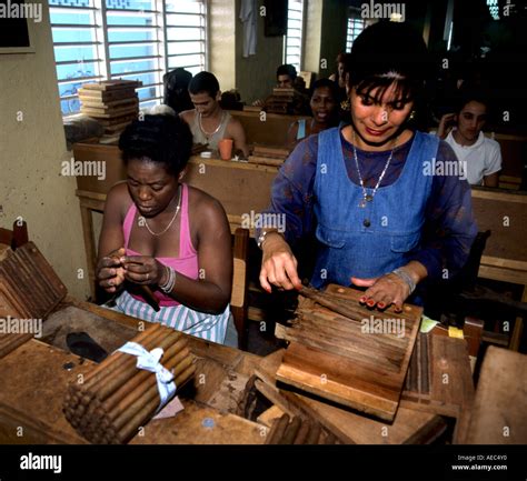 Pinar de Rio Cuba Cuban tobacco farming farm cigar cigars plantation ...