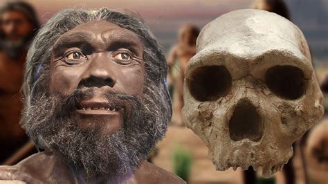 Our mixed-up human family: 8 human relatives that went extinct (and 1 ...