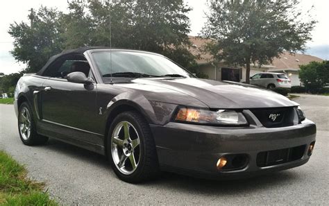 2003 Ford Mustang SVT Cobra - Pictures - CarGurus