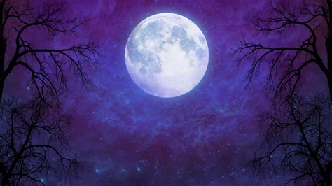 Artistic Full Moon In Starry Night Sky Wallpaper Hd Artist K | The Best ...