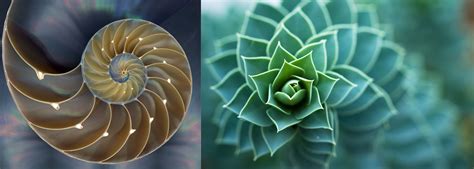 Nature design, Design, Cool designs