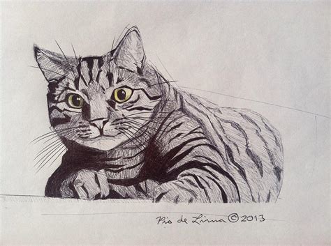 Tabby Cat Drawing by Pio De Lima - Pixels