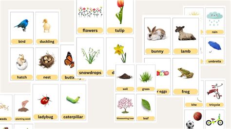 32 Spring Flashcards FREE Printable PDF For Kids - Womanhood And LifeStuff