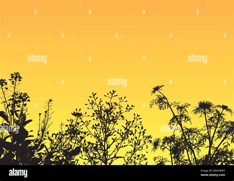 grass silhouette background Stock Vector Image & Art - Alamy