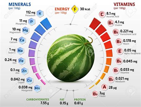 Vitamins and minerals of watermelon fruit. #Infographics about ...