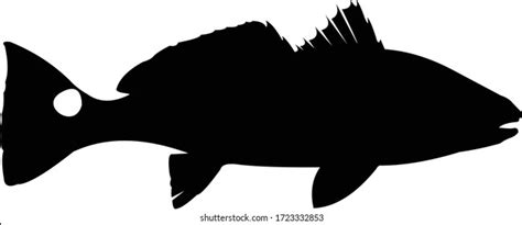 Redfish Red Drum Silhouette Stock Vector (Royalty Free) 2231438815 ...