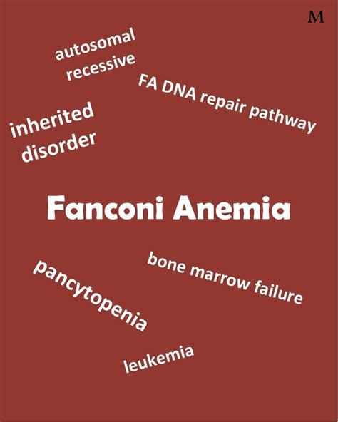 Fanconi Anemia: Causes, Symptoms, Diagnosis and Treatment