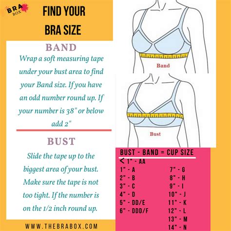 Find Your Bra Size In Three Steps