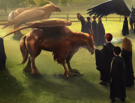 Unidentified chestnut-coloured hippogriff | Harry Potter Wiki | FANDOM ...