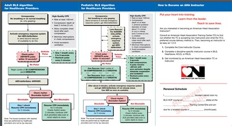 American Heart Association 2022 CPR Cheat Sheet - SAVING AMERICAN HEARTS INC