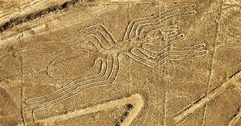 Archaeologists find unexpected new animal in Nazca Lines – The Courier