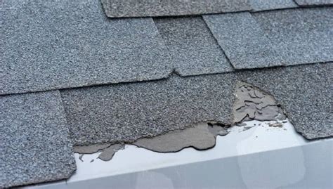 How Do I Know If My Roof Shingles Are Bad? 8 Signs to Look For – Best ...