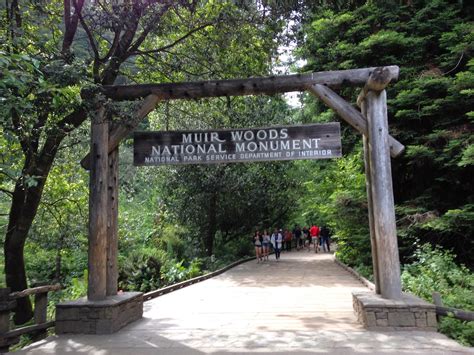 Muir Woods National Monument, California | CVGO