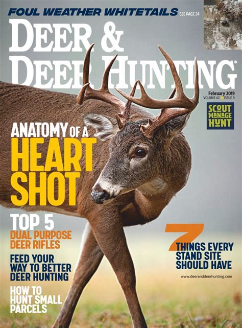 Deer & Deer Hunting Magazine | Whitetail Deer Hunting Tips - DiscountMags.com