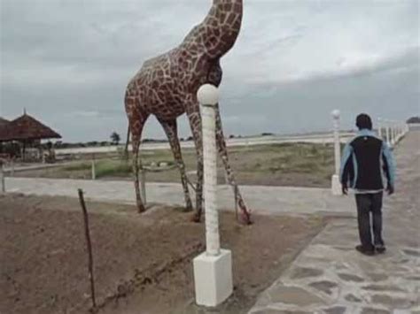 THE TALLEST GIRAFFE IN THE WORLD. (wow!) - YouTube