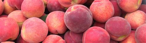 Peach / Nectarine Nutrition & Tips – Jersey Fruit