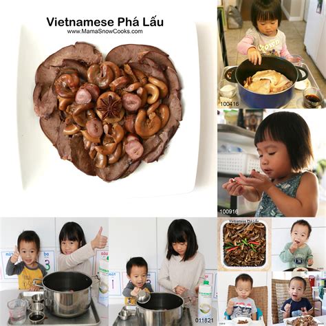 Vietnamese Phá Lấu Recipe – Mama Snow Cooks and More