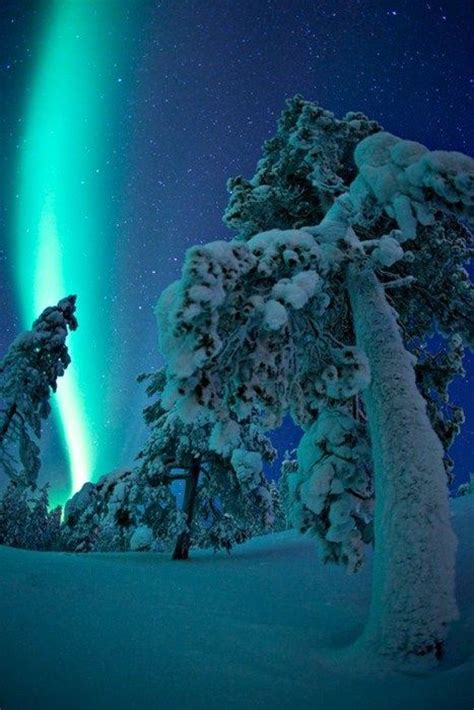 The Aurora in Finland | Beautiful nature, Northern lights, Winter scenes