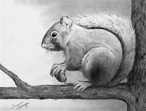 Image result for easy pencil drawings of animals for beginners Pencil ...