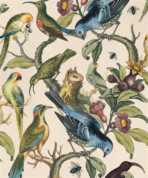 Bird Wallpapers For Walls