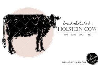 Holstein Cow Sketch Vector Graphic by thesilhouettequeenshop · Creative Fabrica