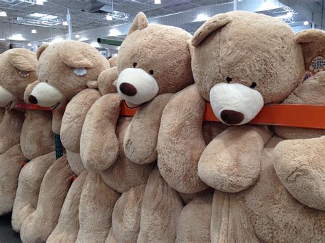 I hope Costco starts selling these teddy bears again : r/pics