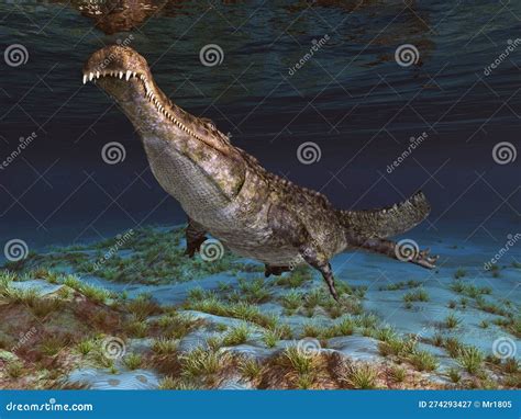 Prehistoric Crocodile Sarcosuchus Underwater Stock Illustration - Illustration of nature ...